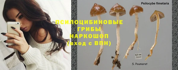 прущие грибы Валуйки