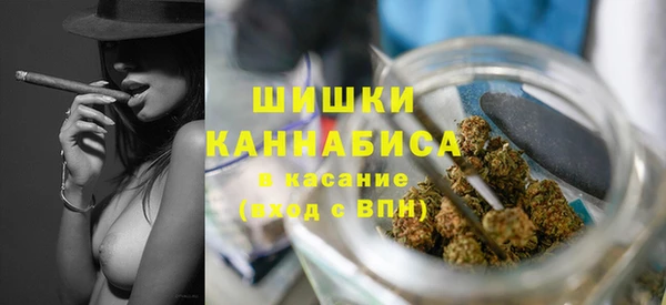 прущие грибы Абдулино