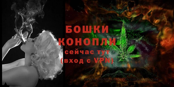 амф Переславль-Залесский